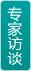 专家访谈