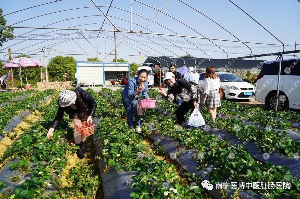 三八妇女节|风雨彩虹，铿锵玫瑰，天下女性，最美半边